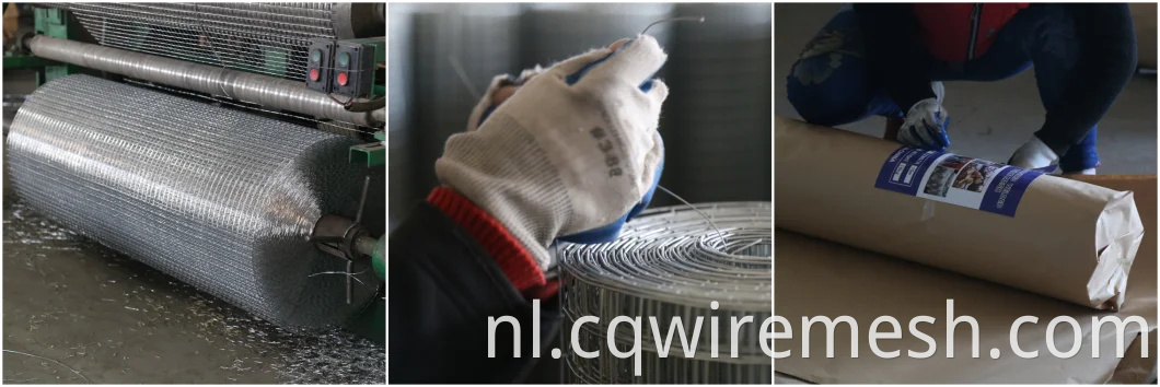 PVC gecoate groene draadnetten gegalvaniseerd gelaste draadgaas voor tuinhek en kooien